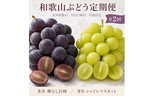 定期便 8・9月発送 紀州有田産旬のぶどうセット（種なし巨峰×約2kg・シャインマスカット×約2kg）