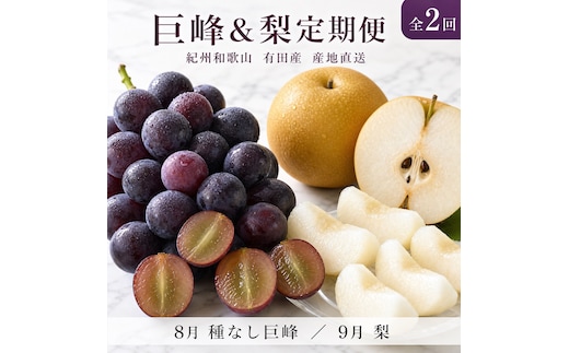 定期便 8・9月発送 紀州有田産旬のフルーツセット（種なし巨峰×約2kg・梨×約2kg 化粧箱入）