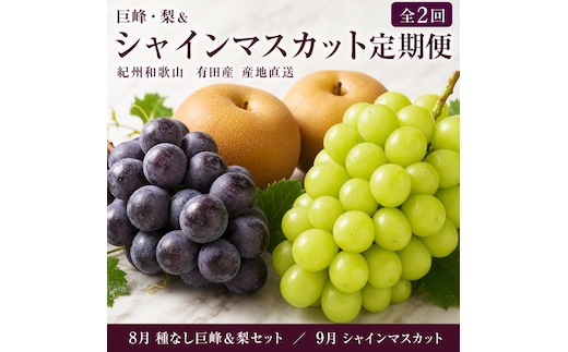 定期便 8・9月発送 紀州有田産旬のフルーツセット（種なし巨峰＆梨セット×計約2kg・シャインマスカット×約2kg）