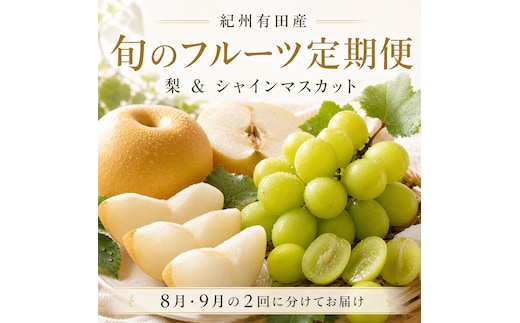 定期便 8・9月発送 紀州有田産旬のフルーツセット（梨×3玉 化粧箱入・シャインマスカット×2房（約1kg～1.4kg））