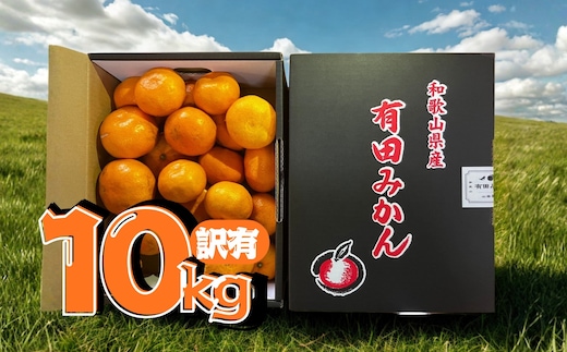 【訳あり】有田みかん 約10kg 家庭用
