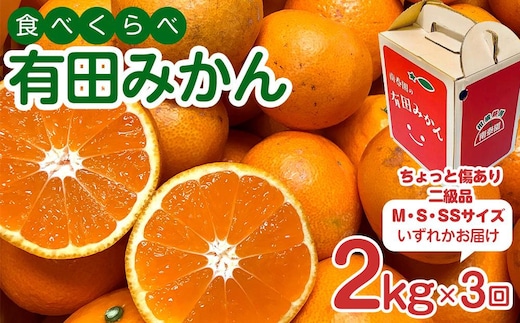 【 4年間 有田みかん 3種 食べくらべ ／ 全12回 】 ちょっと 傷あり 2kg × 3回 × 4年 コース 南泰園 みかん