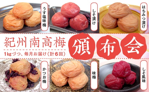 紀州南高梅 頒布会（計6回）