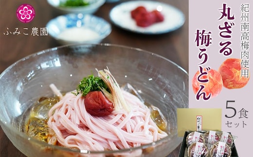 紀州南高梅肉使用 丸ざる梅うどん5食セット