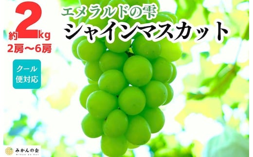 シャインマスカット 有田巨峰村 2kg ( 2房 ～ 6房 ) 和歌山県産 【みかんの会】