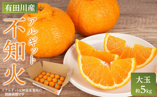 アルギット 不知火 約5kg 大玉 サイズ（15～18玉）| 先行予約 不知火 デコ みかん 甘い おいしい ジューシー 完熟 期間限定 数量限定 フルーツ 果物 柑橘 人気 おすすめ 高級 こだわり ギフト 旬 お取り寄せ 送料無料 和歌山 有田川町