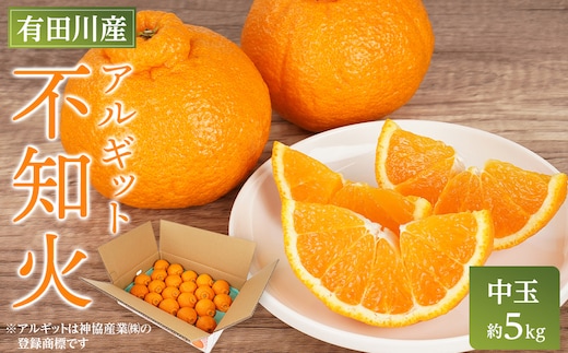 アルギット 不知火 約5kg 中玉 サイズ（20～22玉）| 先行予約 不知火 デコ みかん 甘い おいしい ジューシー 完熟 期間限定 数量限定 フルーツ 果物 柑橘 人気 おすすめ 高級 こだわり ギフト 旬 お取り寄せ 送料無料 和歌山 有田川町
