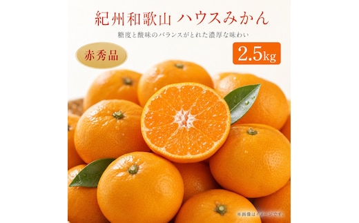 赤秀品 紀州和歌山ハウスみかん 2.5kg［2027年6月末頃～2027年7月中旬頃に順次発送］［UT87w］