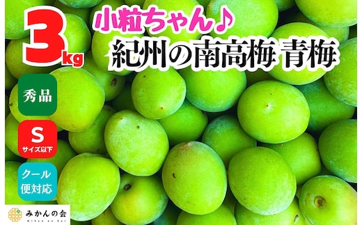 南高梅 青梅 秀品 小粒ちゃん 約3kg Sサイズ以下 和歌山県産 紀州有田 産地直送 クール便対応 梅酒作り用 梅ジュース作り用