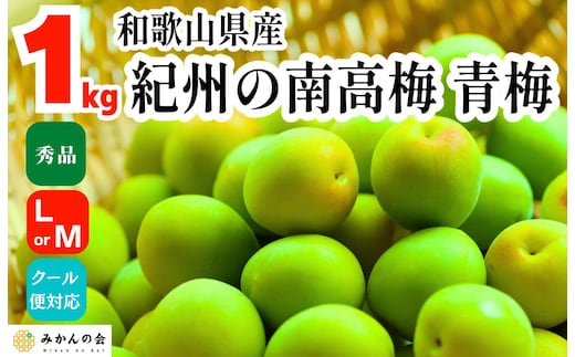 青梅 南高梅 約1kg 秀品 LまたはMサイズ 和歌山県産 A品 梅酒作り用 梅ジュース作り用