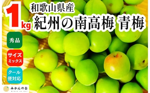 青梅 南高梅 約1kg 秀品 サイズミックス 和歌山県産 A品 梅酒作り用 梅ジュース作り用