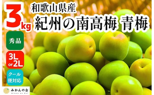 青梅 南高梅 3kg 秀品 3Lまたは2Lサイズ 和歌山県産 A品 梅酒作り用 梅ジュース作り用