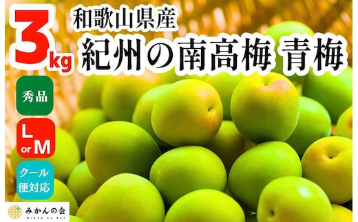 青梅 南高梅 3kg 秀品 LまたはMサイズ 和歌山県産 A品 梅酒作り用 梅ジュース作り用