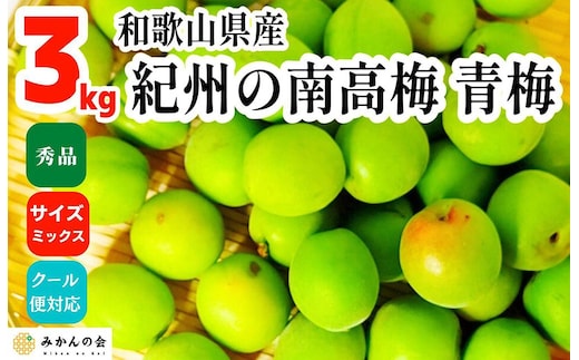 青梅 南高梅 3kg 秀品 サイズミックス 和歌山県産 A品 梅酒作り用 梅ジュース作り用