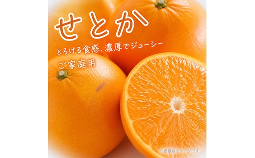 紀州有田産せとか約3kg［ご家庭用］ とろける食感！ジューシー柑橘［2027年2月下旬以降発送］［先行予約］［UT133w］