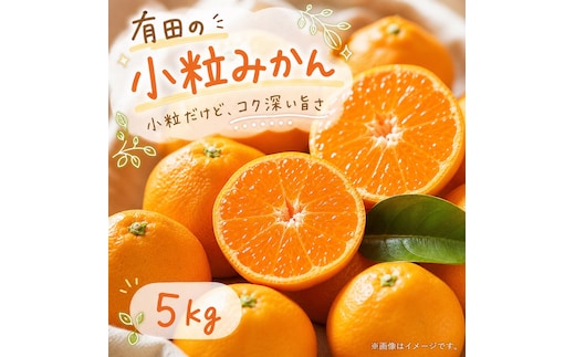 有田の小粒みかん 約5kg (S～3Sサイズ混合)［2026年11月下旬以降発送］［先行予約］［UT134w］