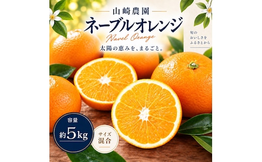 ネーブルオレンジ 約5kg サイズおまかせ アルギット 栽培 国産 甘い おいしい ジューシー 皮 薄い 完熟 期間限定 フルーツ 果物 人気 おすすめ 高級 こだわり ギフト 旬 山崎農園 和歌山