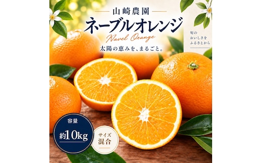 ネーブルオレンジ 約10kg サイズおまかせ アルギット 栽培 国産 甘い おいしい ジューシー 皮 薄い 完熟 期間限定 フルーツ 果物 人気 おすすめ 高級 こだわり ギフト 旬 山崎農園 和歌山