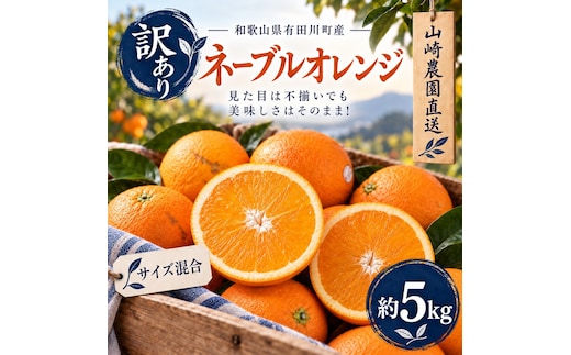 訳あり ネーブルオレンジ 約5kg サイズおまかせ アルギット 栽培 国産 甘い おいしい ジューシー 皮 薄い 完熟 期間限定 フルーツ 果物 人気 おすすめ 高級 こだわり ギフト 旬 山崎農園 和歌山