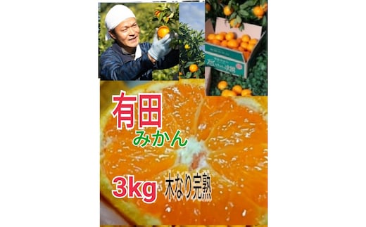 ［先行予約］有田みかん 秀品 3kg（箱込み）+痛み保障 木成り完熟［贈答用］大ちゃんの畑農園