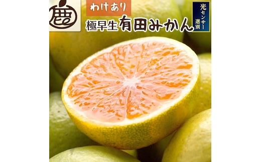 ［先行予約］家庭用 有田みかん（極早生）5kg+250g（傷み補償分）