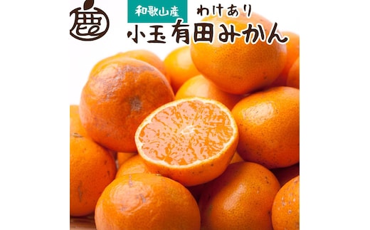 ［先行予約］家庭用 有田みかん（小玉）5kg+250g（傷み補償分）