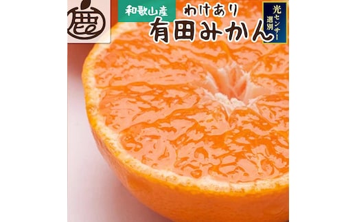 ［先行予約］家庭用 熟成有田みかん 10kg+250g（傷み補償分）