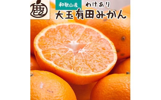 ［先行予約］家庭用 有田みかん（大玉）10kg+250g（傷み補償分）