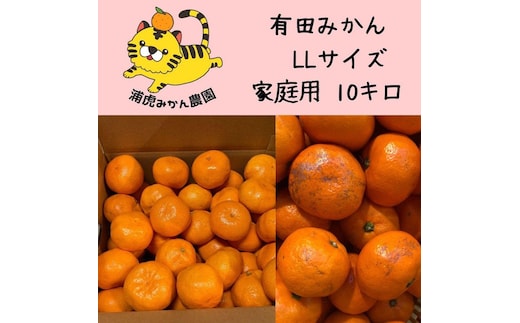 12/25までにご入金確認分は年内発送確定！温州みかん 家庭用 箱込み 10kg（2Lサイズ指定） 大きいミカンが好きな人におすすめ