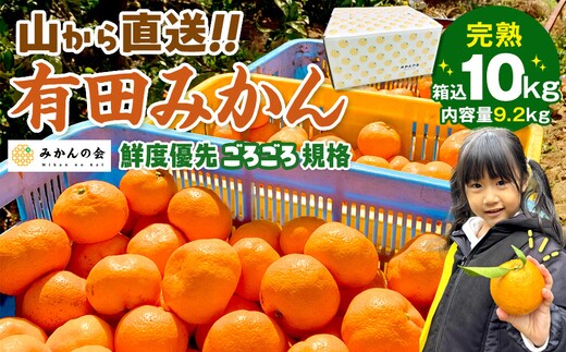 みかん 山から直送 箱込 10kg ( 内容量約 9.2kg ) 鮮度優先ごろごろ規格 和歌山県産 産地直送 家庭用［2026年11月中旬より順次出荷予定］［みかんの会］