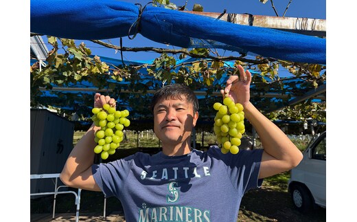 有田巨峰村三木と園のあま～い露地栽培種ありシャインマスカット 約1kg（2房）［2026年10月より順次発送］