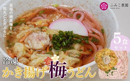 冷凍 かき揚げ梅うどん５食