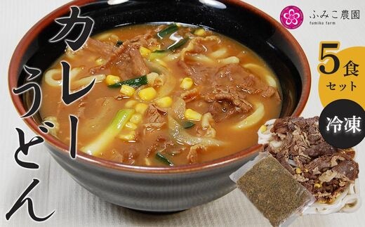 冷凍 カレーうどん５食