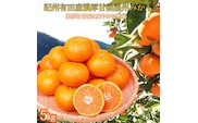 季節の柑橘とシャインマスカットの定期便（みかん・不知火・清見オレンジ・シャインマスカット） 全4回 【1・2・3・8月発送】