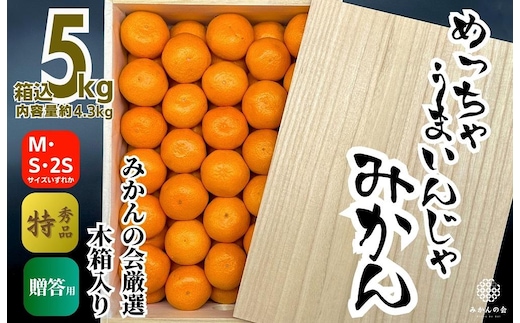 みかん めっちゃうまいんじゃ 木箱入 約5kg（内容量4.3kg） みかんの会厳選 特選品 M S 2S サイズのいずれか 和歌山県産 産地直送 S品 贈答用 ［2025年11月中旬より順次出荷予定］［みかんの会］