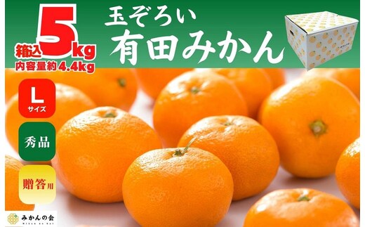 みかん Lサイズ 秀品 箱込 5kg (内容量約 4.4kg) 有田みかん 和歌山県産 産地直送 贈答用 ［2025年11月中旬より順次出荷予定］［みかんの会］