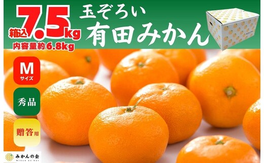 みかん Ｍサイズ 秀品 箱込 7.5kg (内容量約 6.8kg) 有田みかん 和歌山県産 産地直送 贈答用 ［2025年11月中旬より順次出荷予定］［みかんの会］