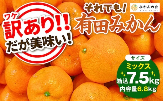 訳あり それでも 有田みかん 箱込 7.5kg (内容量約 6.8kg) サイズミックス B品 有田みかん 和歌山県産 産地直送 家庭用［2025年11月中旬より順次出荷予定］［みかんの会］