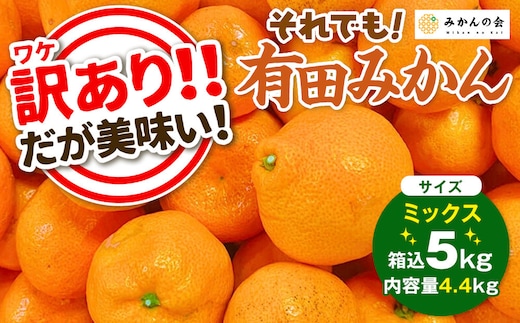訳あり それでも 有田みかん 箱込 5kg (内容量約 4.4kg) サイズミックス B品 有田みかん 和歌山県産 産地直送 家庭用［2025年11月中旬より順次出荷予定］［みかんの会］