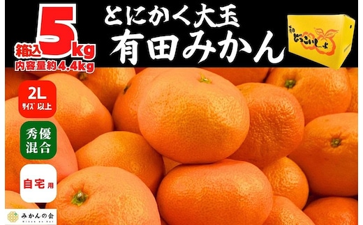 みかん 大玉 どっこいしょ 箱込 5kg ( 内容量約 4.4kg ) 2Lサイズ以上 秀品 優品 混合 有田みかん 和歌山県産 産地直送 家庭用［2025年11月中旬より順次出荷予定］［みかんの会］