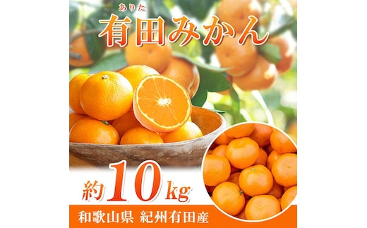 完熟有田みかん 10kg［2026年11月下旬以降発送］［先行予約］［UT11w］
