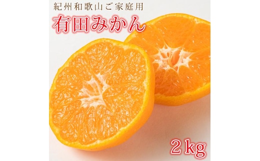 ［ご家庭用訳あり］紀州有田産濃厚完熟温州みかん 約2kg［2026年11月下旬以降発送］［先行予約］