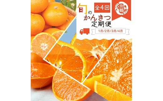 【定期便・指定月（1・2・3・4月）全4回】紀州和歌山産 旬の柑橘 セット (みかん・不知火・せとか・清見) ［UT137］