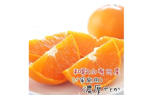 和歌山有田の濃厚せとか（ご家庭用） 約4～5kg ［先行予約］ | くだもの フルーツ 果実 果物 有田 みかん 和歌山 ［MS81w］