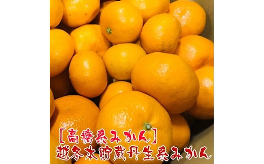 越冬本貯蔵 丹生系 みかん 2kg【先行予約】【高糖系みかん】