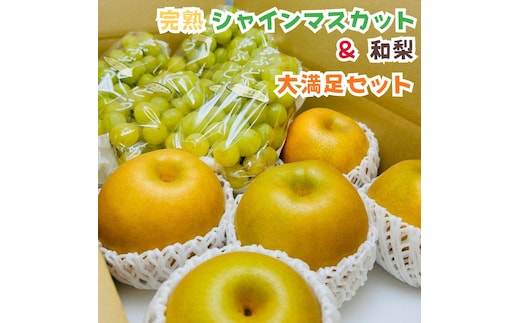［先行予約・2026年発送］朝採れ完熟シャインマスカットと和梨 大満足セット 約4kg