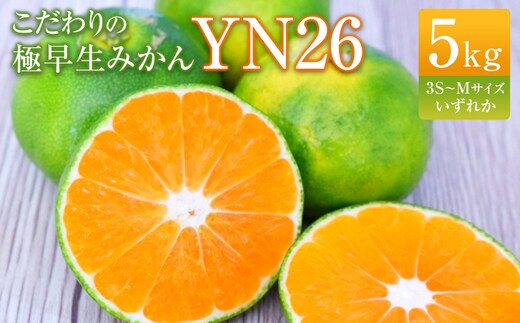こだわりの極早生みかんYN26 5kg 3S～Mサイズいずれか