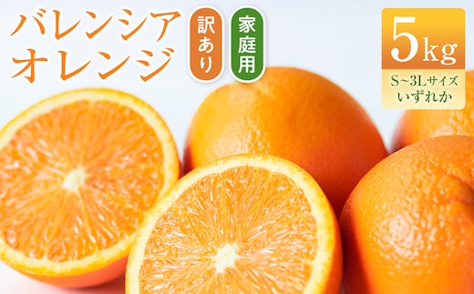 バレンシアオレンジ 家庭用 訳あり 5kg S～3Lサイズいずれか