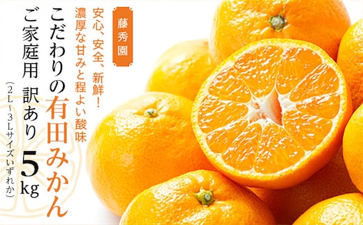 こだわりの有田みかん ご家庭用 訳あり 5kg 2L～3Lサイズいずれか