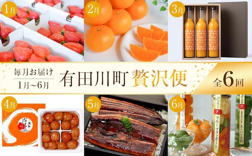 全6回 有田川町から贅沢定期便（1月～6月発送）フルーツ うなぎ スイーツ 梅干し など